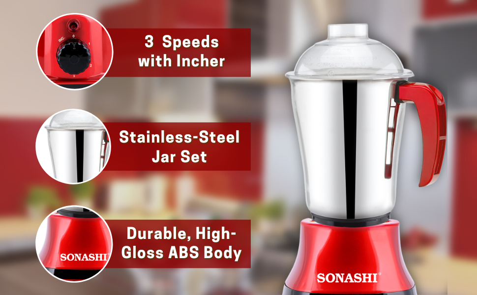 3-in-1 Mixer Grinder with Copper Motor