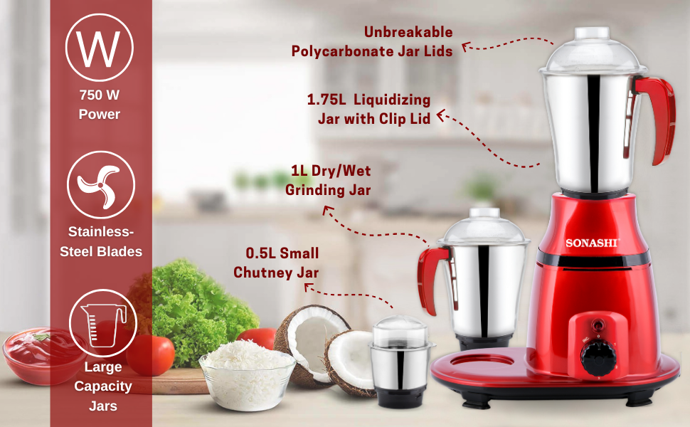 3-in-1 Mixer Grinder with Copper Motor
